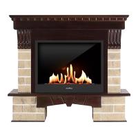 Биокамин в портале SteelHeat WS, стемалит